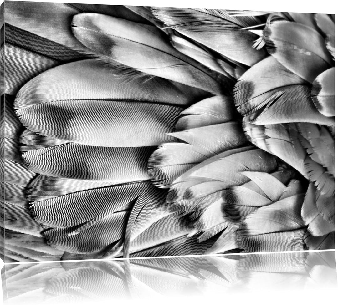 Pixxprint Monocrome, Bunte Papageienfedern, Format: 100x70 auf Leinwand, riesige Bilder fertig gerah