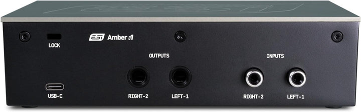 ESI Amber i1 | Professionelles 24-bit / 192 kHz USB Audio Interface mit 2 Eingängen und 2 Ausgängen