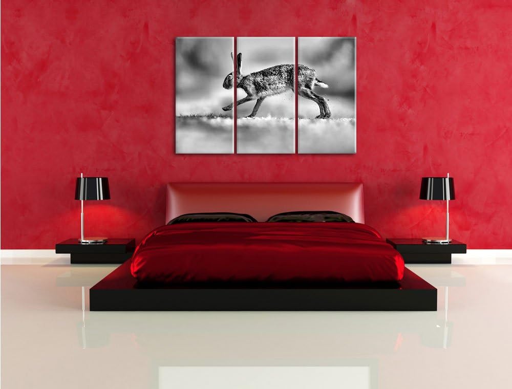 Pixxprint Hüpfender Hase / 3-Teilig/Gesamtmass 120cm Leinwandbild bespannt auf Holzrahmen/Wandbild K