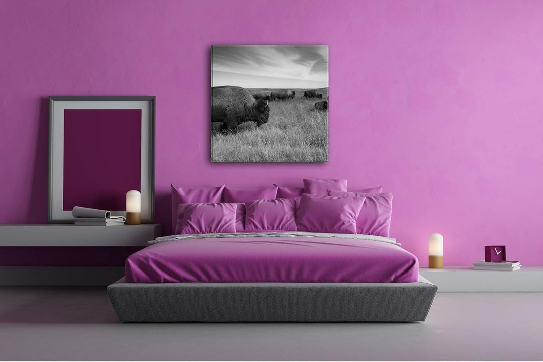 Bison Herde in der Steppe Format: 70x70 Effekt: Schwarz&Weiss als Leinwandbild, Motiv auf Echtholzra