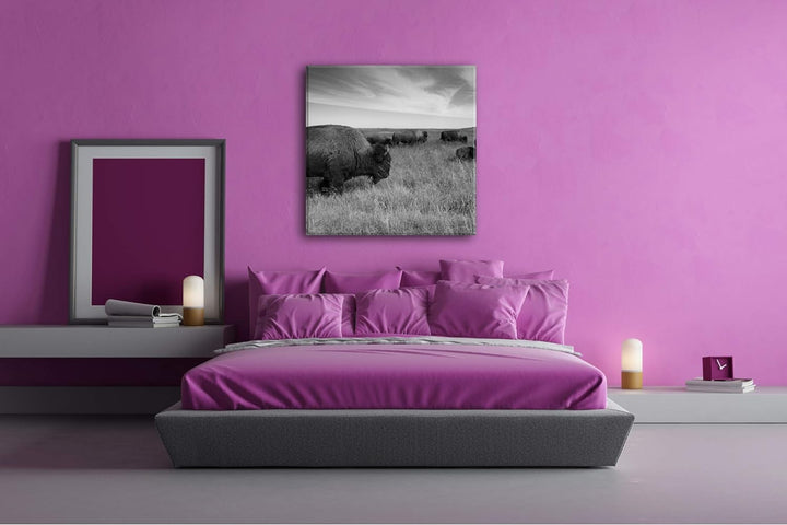 Bison Herde in der Steppe Format: 70x70 Effekt: Schwarz&Weiss als Leinwandbild, Motiv auf Echtholzra
