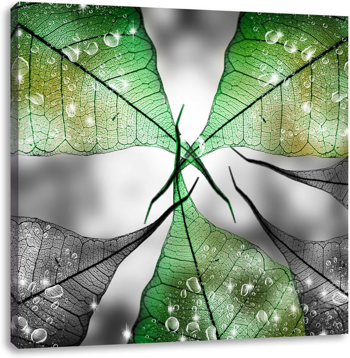 Pixxprint grüne Blätter mit Wassertropfen schwarz/weiss, Format: 70x70 auf Leinwand, 70x70