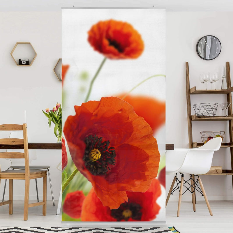 Bilderwelten Raumteiler Radiant Poppies 250x120cm inkl. transparenter Halterung 250x120cm incl. tran