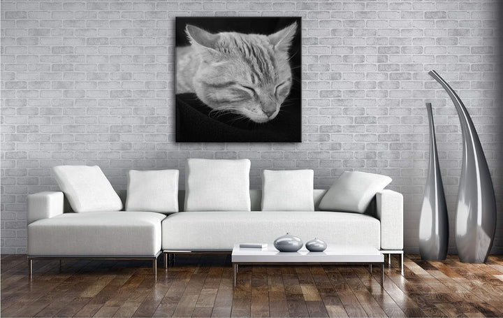 deyoli goldig schlafende Katze Format: 60x60 Effekt: Schwarz&Weiss als Leinwandbild, Motiv auf Echth