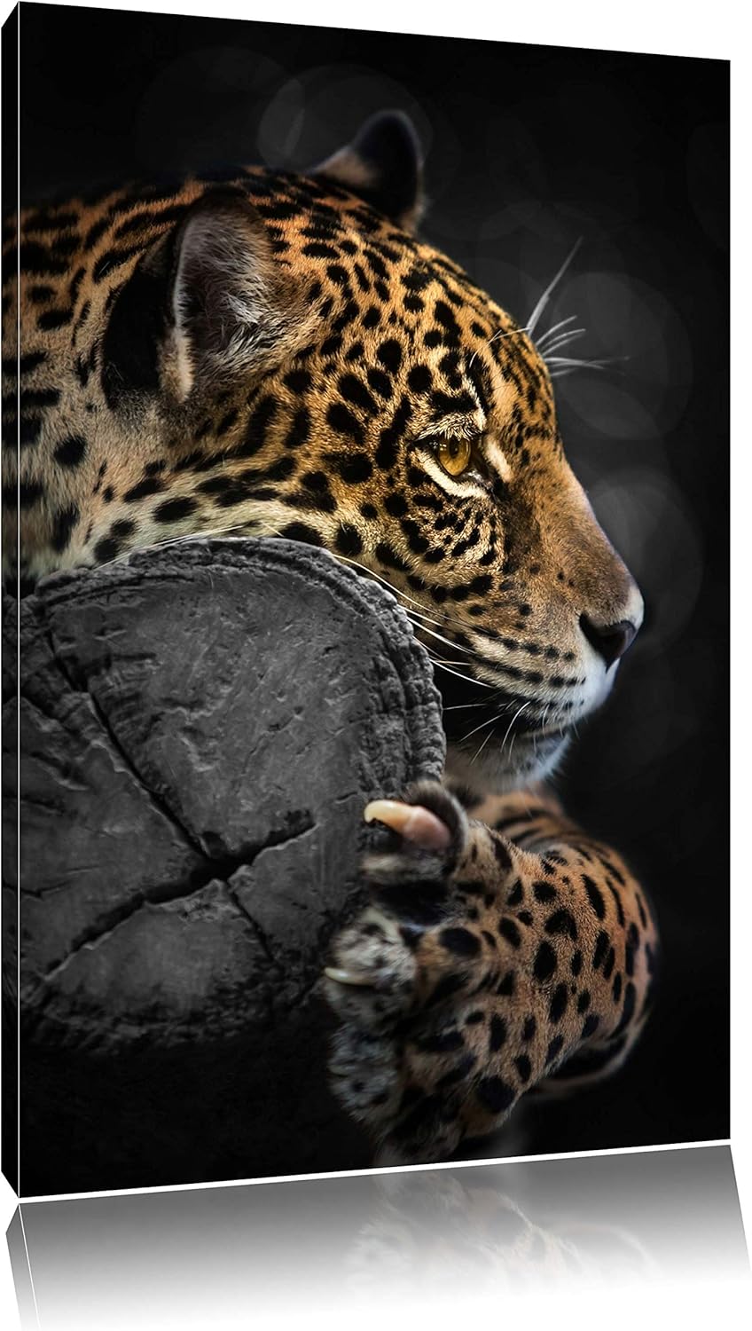 Dark prächtiger Leopard auf Stamm schwarz/weiss Format: 100x70auf Leinwand, XXL riesige Bilder ferti