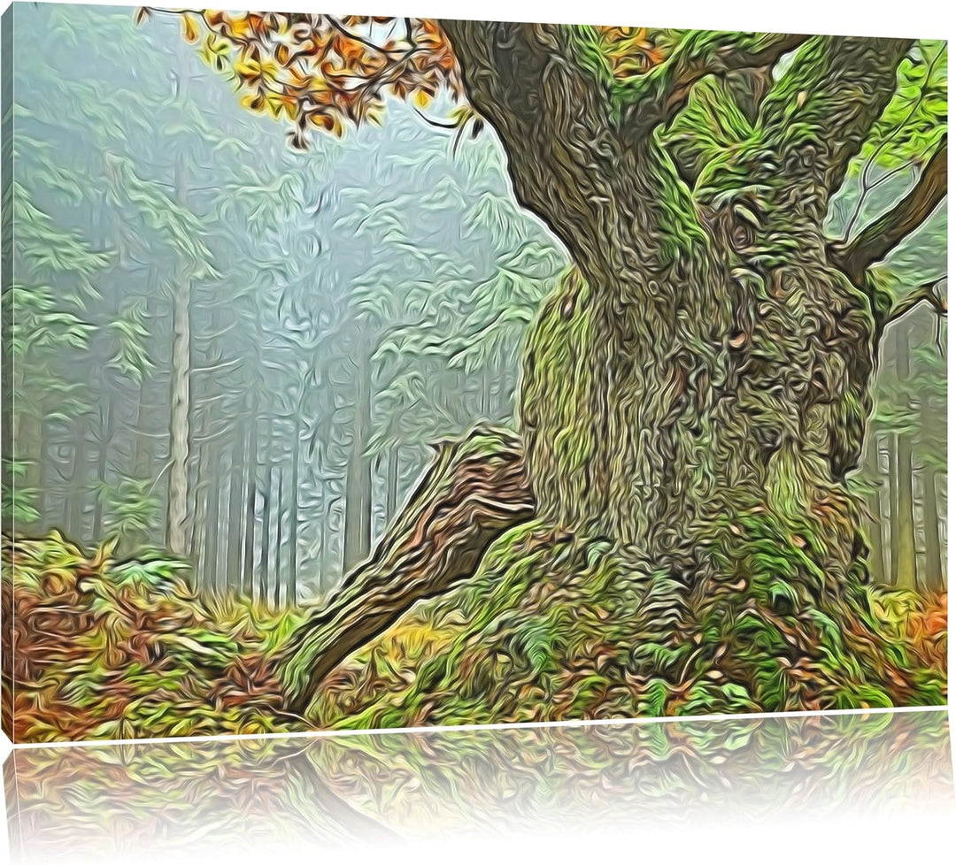 Dicker Baum im Wald im Moos Deluxe Format: 100x70 cm auf Leinwand, XXL riesige Bilder fertig gerahmt