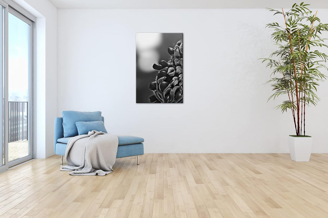 deyoli Südliche Magnolie Stierbucht Format: 80x60 Effekt: Schwarz&Weiss als Leinwandbild, Motiv fert