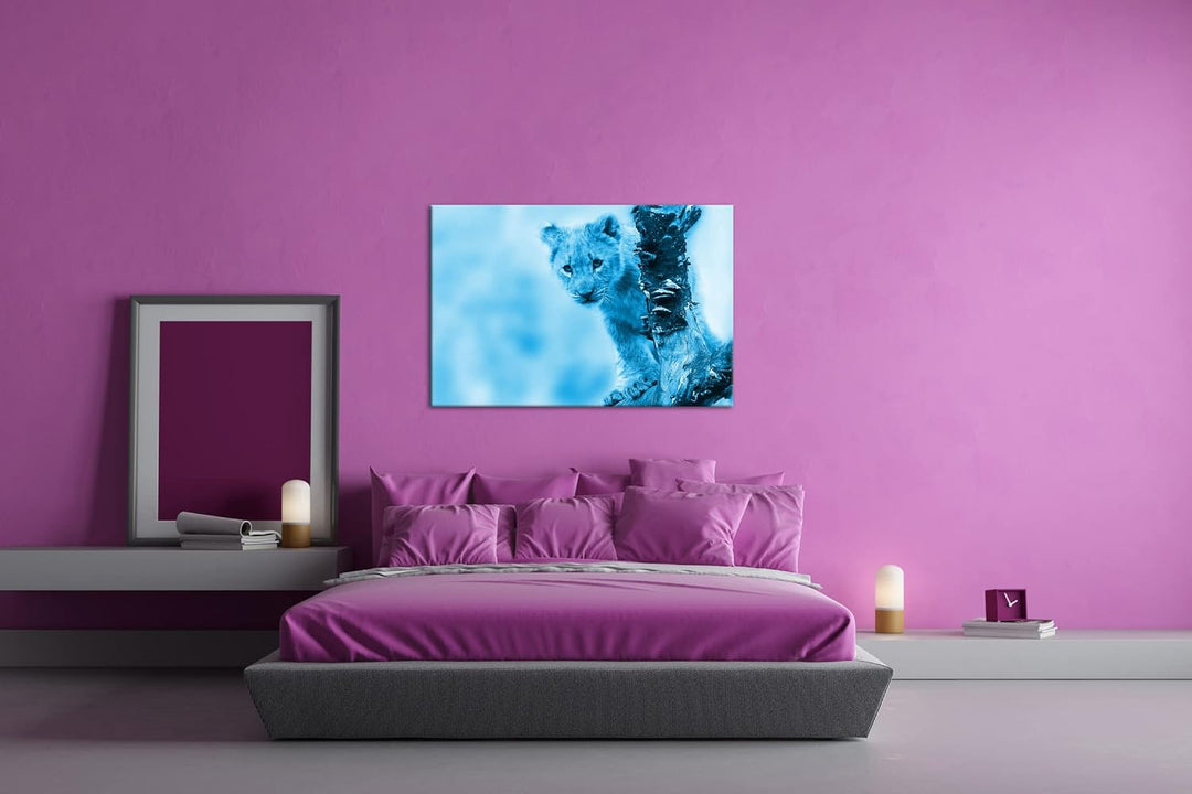 niedliches Löwenbaby in der Natur Format 80x60 Effekt: Monocrome Blau als Leinwandbild, Motiv fertig