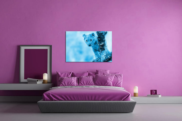niedliches Löwenbaby in der Natur Format 80x60 Effekt: Monocrome Blau als Leinwandbild, Motiv fertig