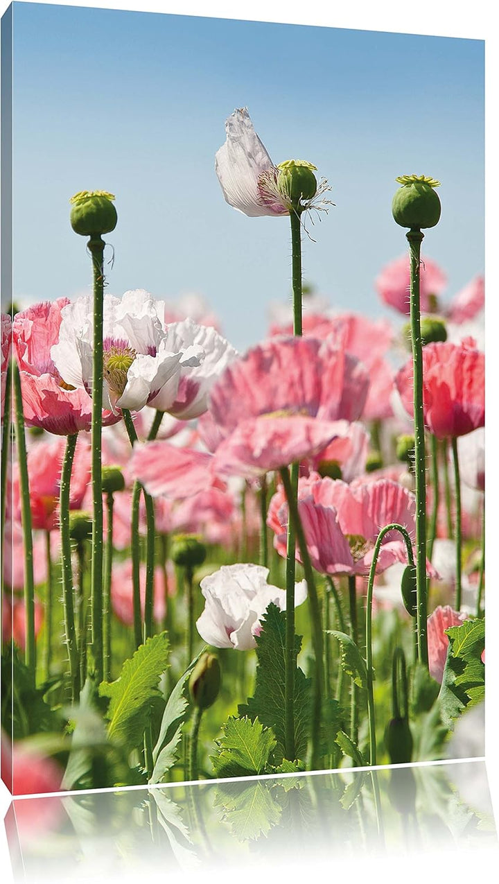 Blumenwiese Mohnblumen, Format: 100x70 auf Leinwand, XXL riesige Bilder fertig gerahmt mit Keilrahme