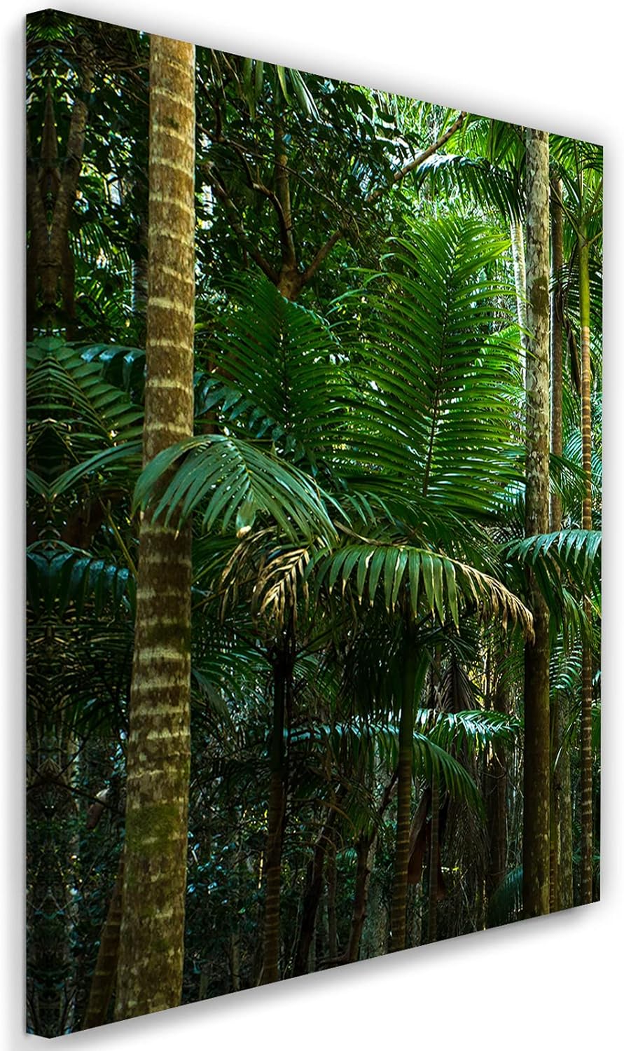 Feeby Vlies Leinwandbild Tropen Dschungel Palmen Exotik 60x90 cm Druckbild Wandbild Wanddekoration D