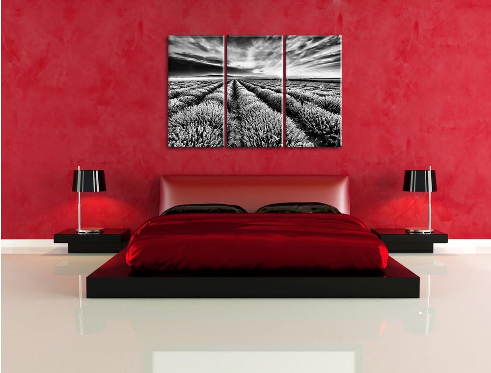 Pixxprint Traumhafte Lavendel Provence als Leinwandbild/Grösse: 3 Teilig (120x80) cm/Wandbild/Kunstd