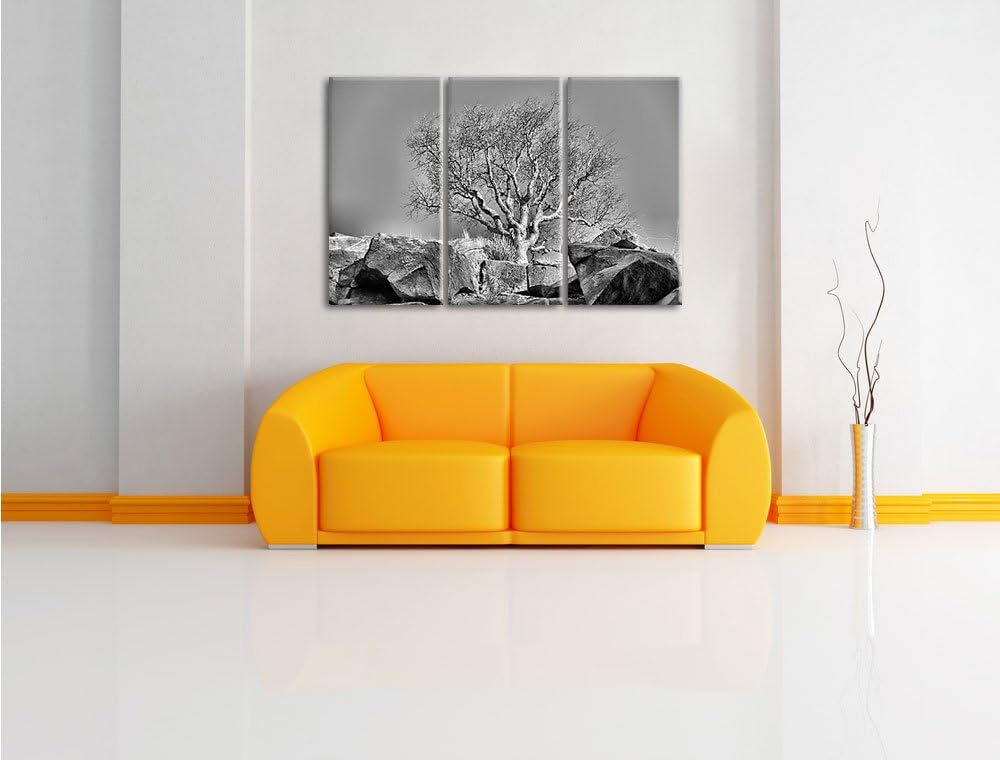 Pixxprint Monocrome, einsamer Baum im Gebirge 3-Teiler Leinwandbild 120x80 Bild auf Leinwand
