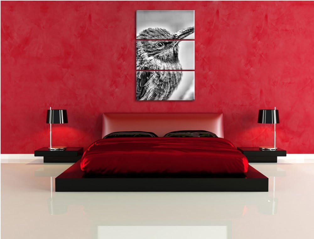 Pixxprint Kleiner tropischer Vogel als Leinwandbild/Grösse: 3 Teilig (120x80) cm/Wandbild/Kunstdruck
