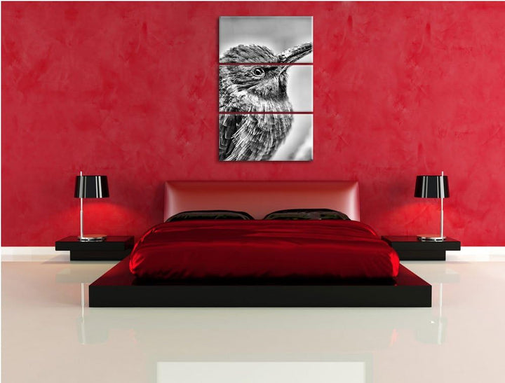 Pixxprint Kleiner tropischer Vogel als Leinwandbild/Grösse: 3 Teilig (120x80) cm/Wandbild/Kunstdruck