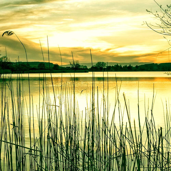 Wandbild Landschaft 200x100 cm Deco Panel 5 Teilig XXL Kunstdruck See Baum grün Deco Panel XXL 200x1