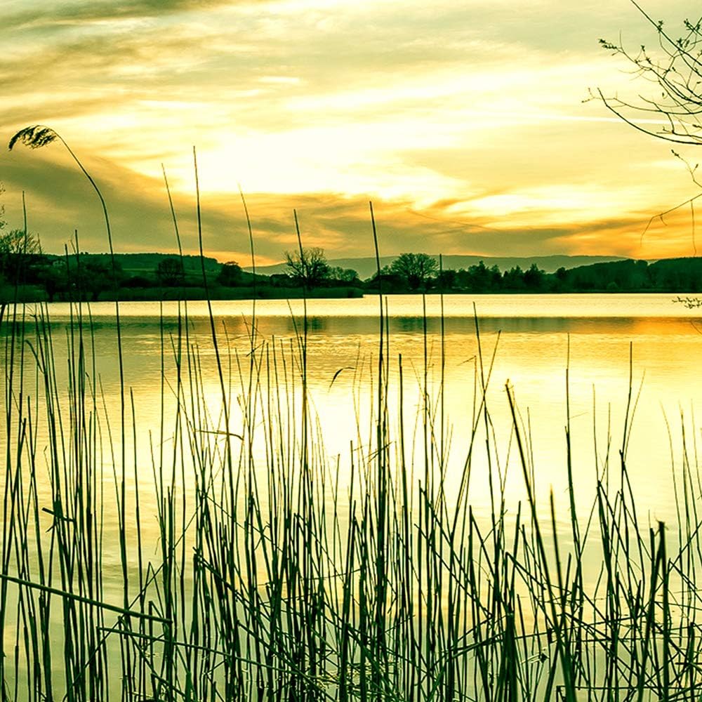 Wandbild Landschaft 250x120 cm Deco Panel 5 Teilig XXL Kunstdruck See Baum grün Deco Panel XXL 250x1