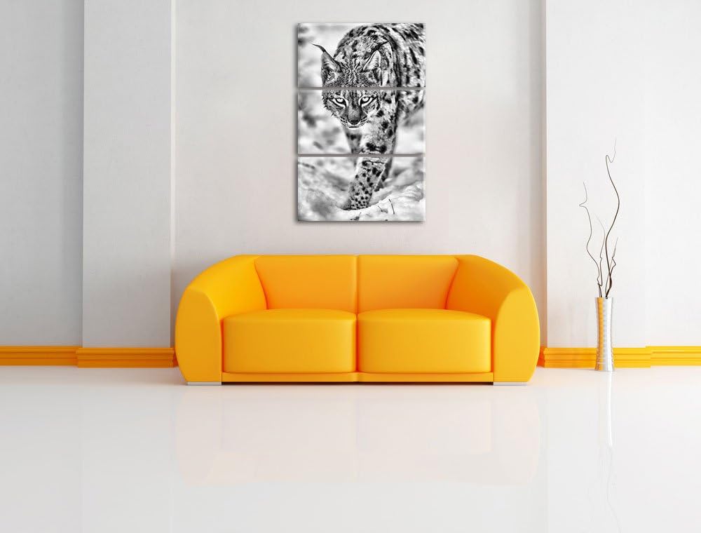 Pixxprint wachsamer Luchs im Schnee als Leinwandbild/Grösse: 3 Teilig (120x80) cm/Wandbild/Kunstdruc