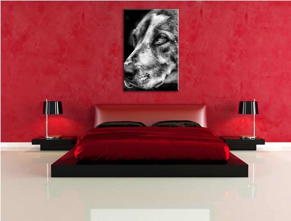 Pixxprint hübscher Hund im Seitenprofil als Leinwandbild | Grösse: 100x70 | Wandbild| Kunstdruck | f