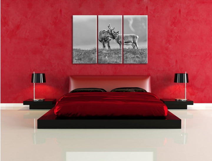Pixxprint Rentiere die miteinander schmusen Kunst B&W 3-Teiler Leinwandbild 120x80 Bild auf Leinwand