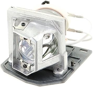 Alda PQ-Premium, Beamerlampe/Ersatzlampe für ACER X110P Projektoren, Lampe mit Gehäuse