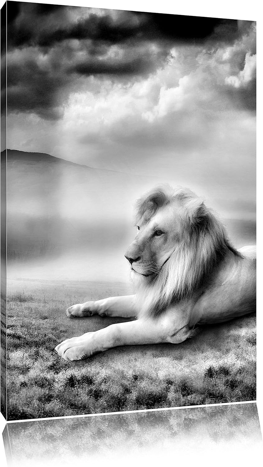 Pixxprint Monocrome, Stolzer weisser Löwenkönig, Format: 100x70 auf Leinwand, riesige Bilder fertig