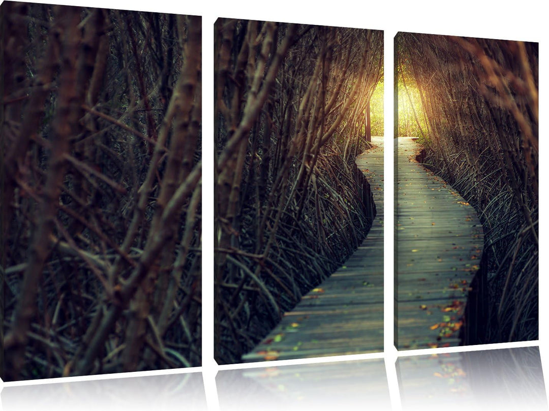 Pixxprint Gehweg im Wald / 3-Teilig/Gesamtmass 120cm Leinwandbild bespannt auf Holzrahmen/Wandbild K