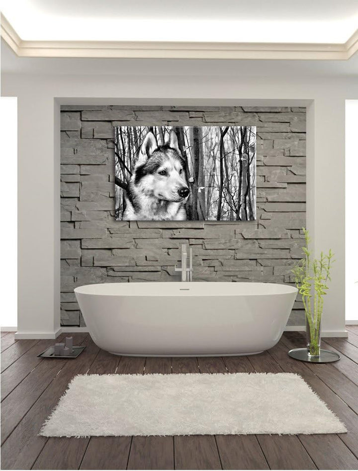 Pixxprint Wachsamer Husky / 100x70cm Leinwandbild bespannt auf Holzrahmen/Wandbild Kunstdruck Dekora