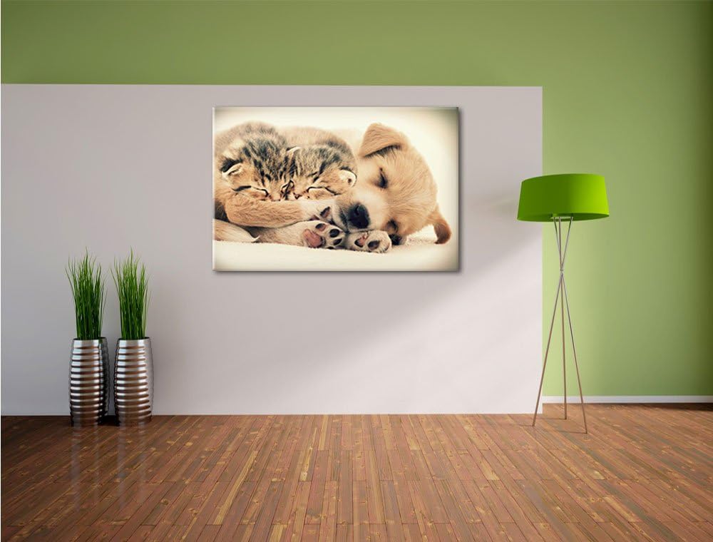 Pixxprint Hundewelpe mit kleinen Kätzchen / 100x70cm Leinwandbild bespannt auf Holzrahmen/Wandbild K