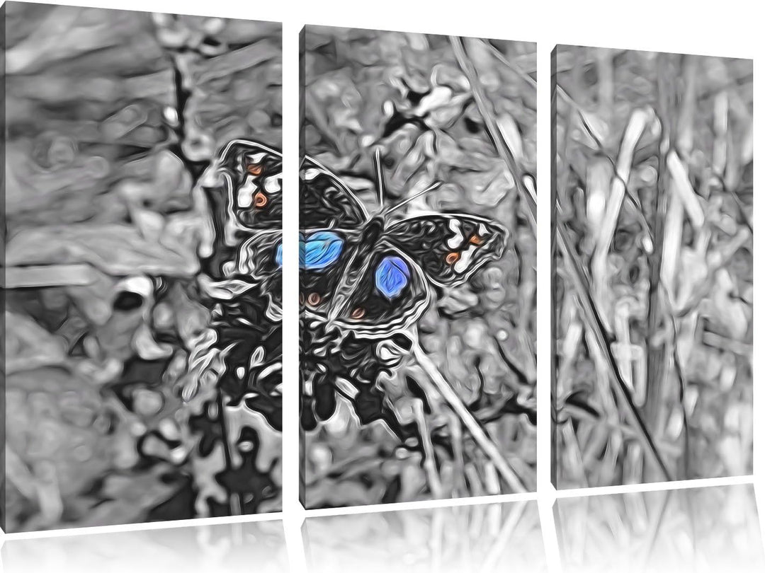 aussergewöhnlicher Schmetterling auf Grashalm schwarz/weiss Spezial 3-Teiler Leinwandbild 120x80 Bil