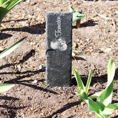 Schiefer Pflanzenschilder Pflanzstecker 21 Stück Obst und Gemüse - Beschriftungsschilder Garten Beet