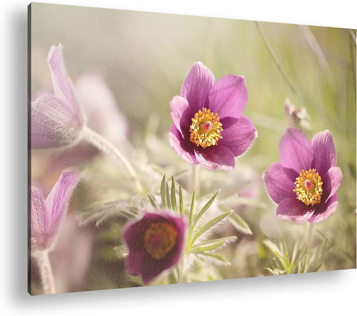 deyoli bezaubernde Blumen Format: 80x60 als Leinwandbild, Motiv fertig gerahmt auf Echtholzrahmen, H