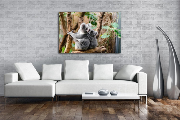 deyoli niedliche Koala Mutter mit ihrem Kind Format: 80x60 als Leinwandbild, Motiv fertig gerahmt au