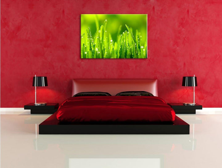 Grashalme mit Tauwasser, Format: 100x70 auf Leinwand, XXL riesige Bilder fertig gerahmt mit Keilrahm