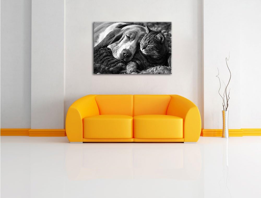 Pixxprint Katze und Hund kuschelnd Kunst B&W als Leinwandbild/Grösse: 100x70 / Wandbild/Kunstdruck/f