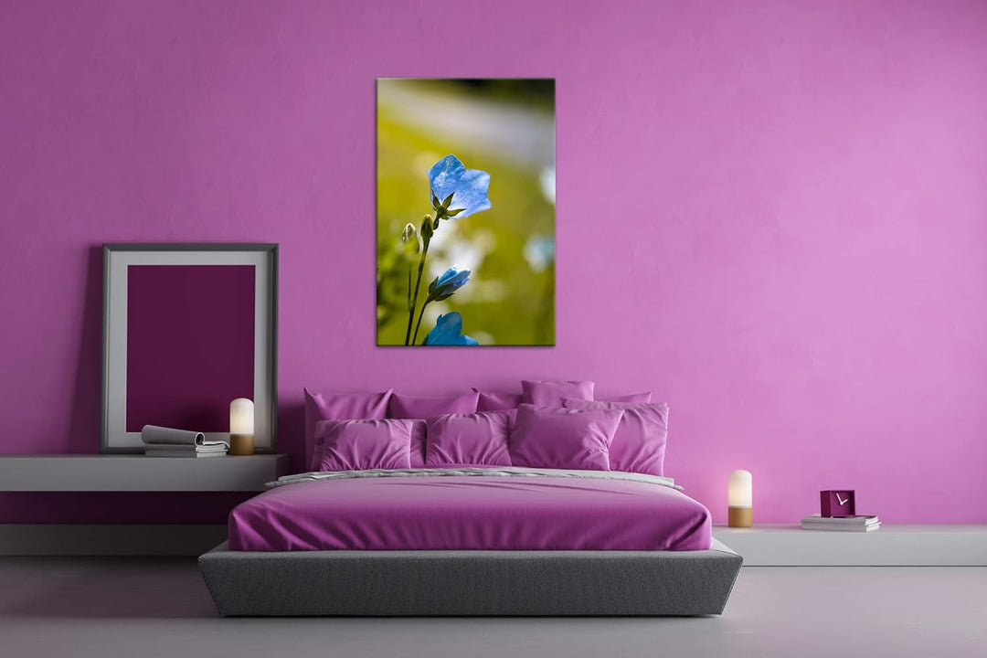 deyoli bezaubernde blaue Blume Format: 80x60 als Leinwandbild, Motiv fertig gerahmt auf Echtholzrahm