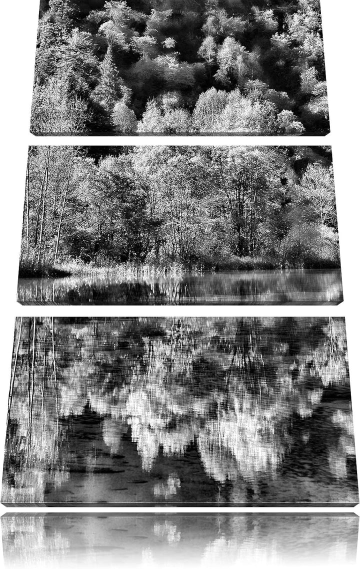 Pixxprint herbstlicher Wald am See als Leinwandbild/Grösse: 3 Teilig (120x80) cm/Wandbild/Kunstdruck