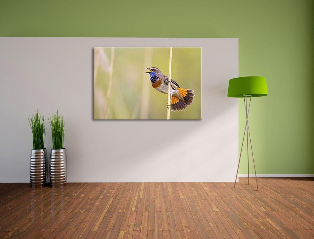 schönes kleines Blaukehlchen Leinwand, XXL riesige Bilder fertig gerahmt mit Keilrahmen, Kunstdruck