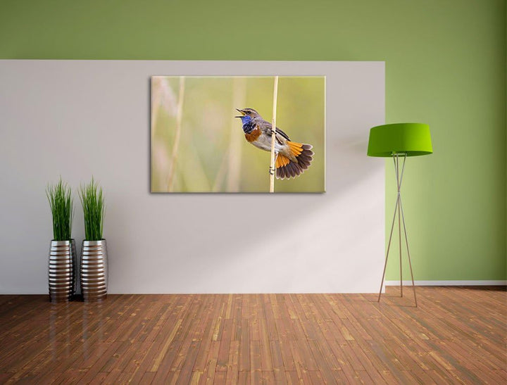 schönes kleines Blaukehlchen Leinwand, XXL riesige Bilder fertig gerahmt mit Keilrahmen, Kunstdruck