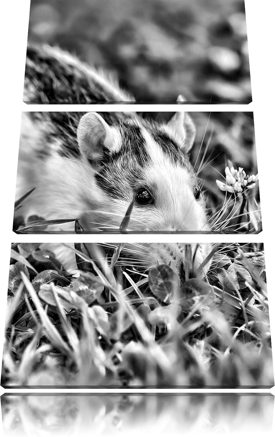 Pixxprint Maus auf Wiese als Leinwandbild/Grösse: 3 Teilig (120x80) / Wandbild/Kunstdruck/fertig bes
