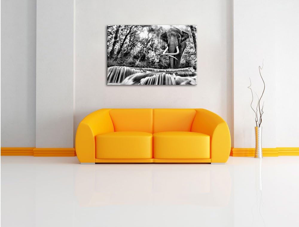 Pixxprint Monocrome, Elefant am Bach, Format: 100x70 auf Leinwand, 100x70