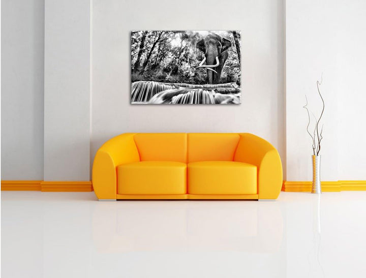 Pixxprint Monocrome, Elefant am Bach, Format: 100x70 auf Leinwand, 100x70
