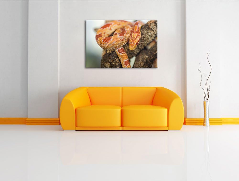 Pixxprint ruhende Kornnatter auf Leinwand, XXL riesige Bilder fertig gerahmt mit Keilrahmen, Kunstdr