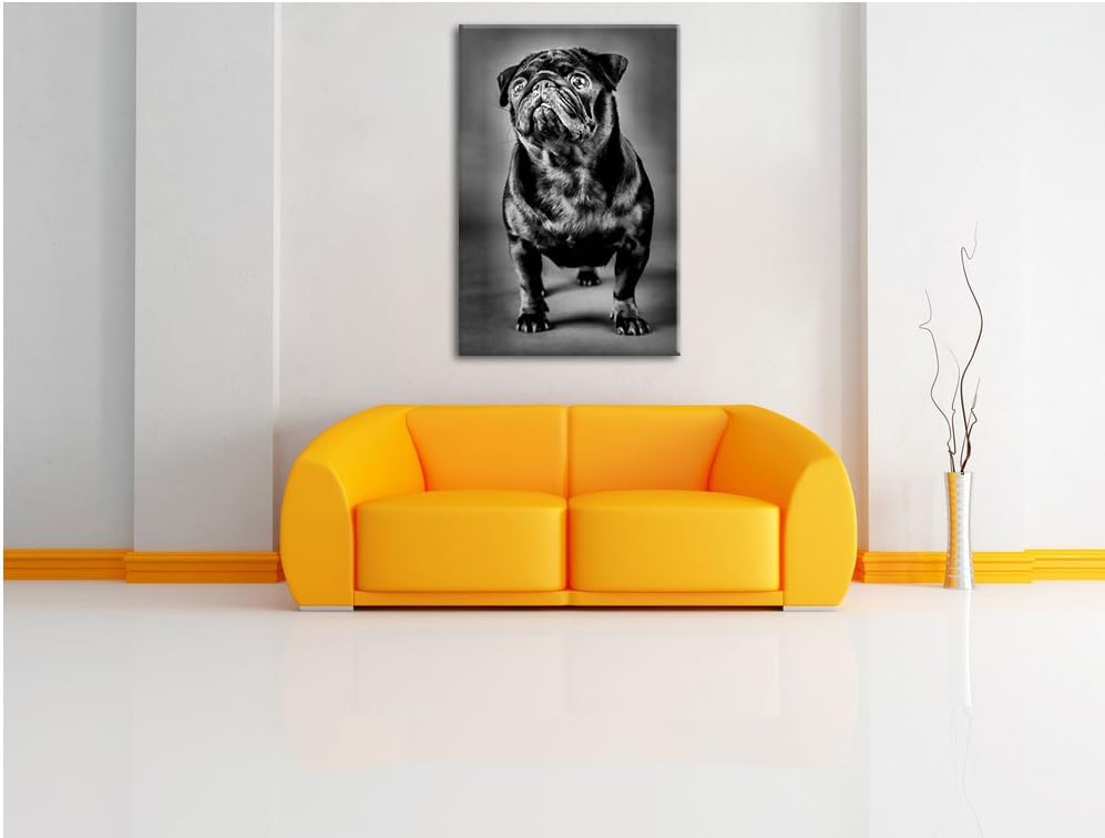 Pixxprint Süsser schwarzer Mops als Leinwandbild/Grösse: 100x70 cm/Wandbild/Kunstdruck/fertig bespan