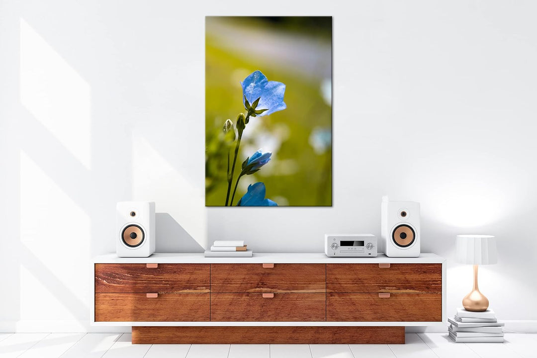 deyoli bezaubernde blaue Blume Format: 80x60 als Leinwandbild, Motiv fertig gerahmt auf Echtholzrahm