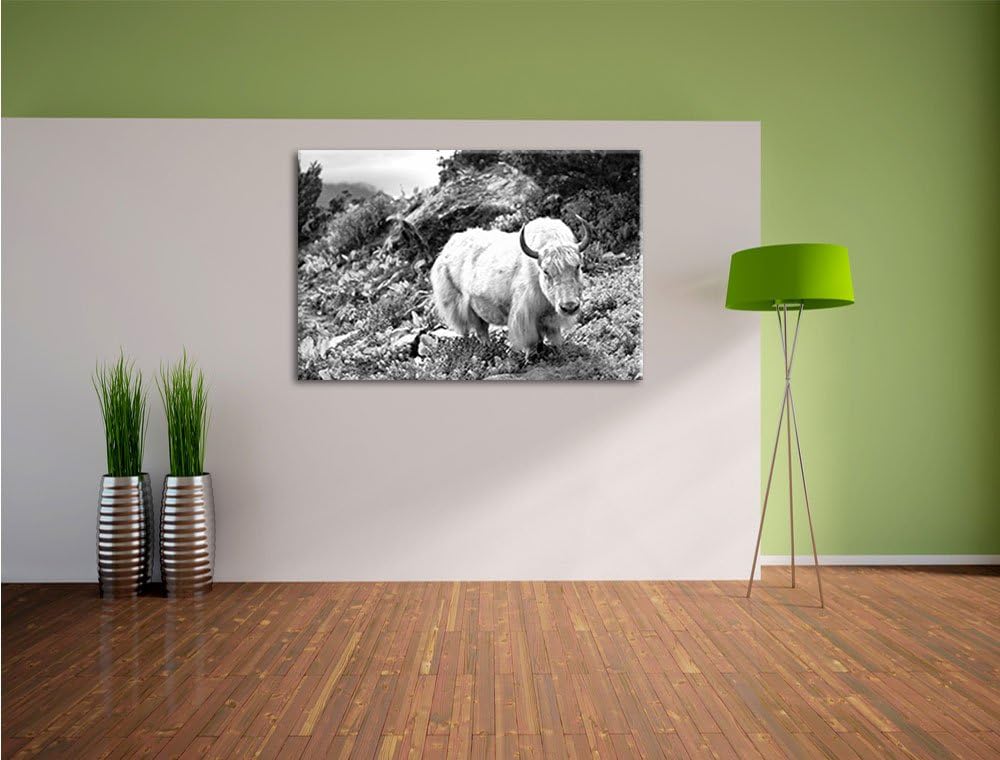 Pixxprint Schönes Yak Himalaya Kunst B&W als Leinwandbild/Grösse: 100x70 cm/Wandbild/Kunstdruck/fert