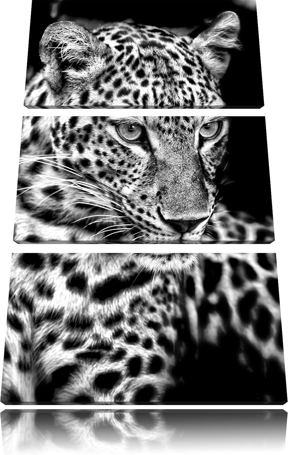 Pixxprint Leopard mit blauen Augen als Leinwandbild/Grösse: 3 Teilig (120x80) cm/Wandbild/Kunstdruck