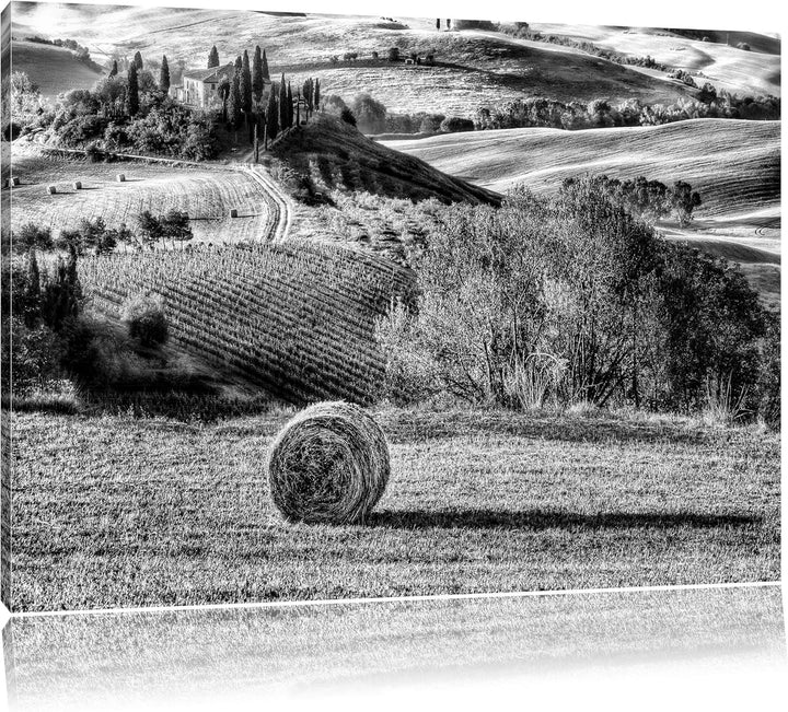 Pixxprint Monocrome, Italienische Toskana Landschaft, Format: 100x70 auf Leinwand, XXL riesige Bilde