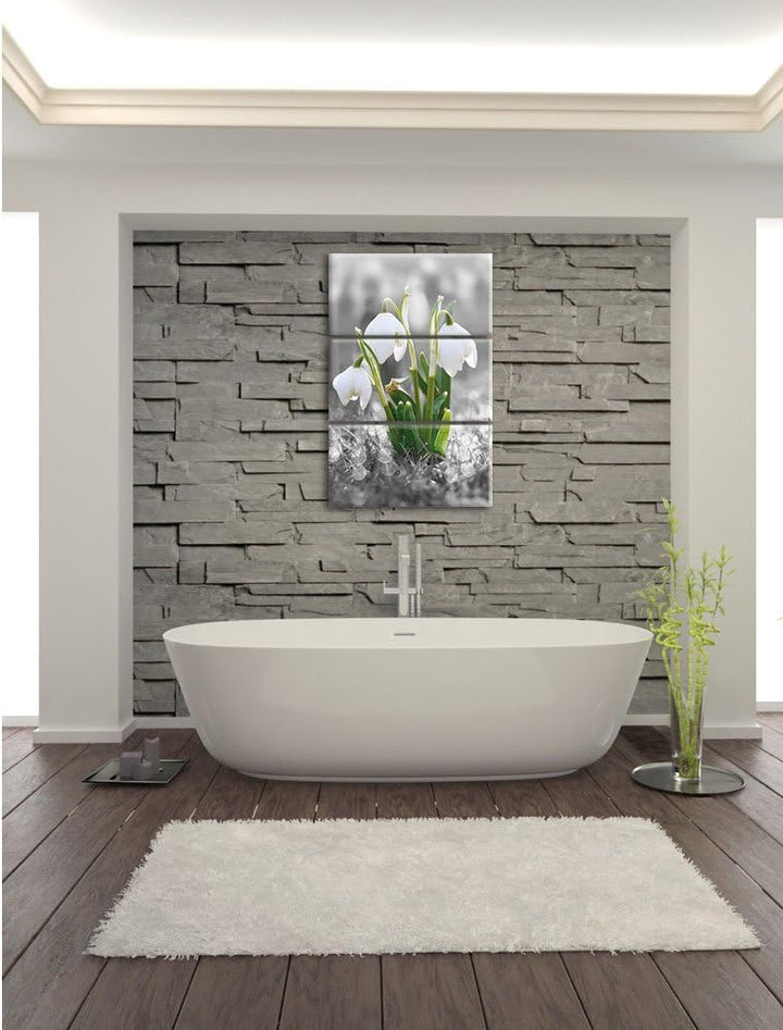 Pixxprint schöne Schneeglöckchen im Morgentau als Leinwandbild/Grösse: 3 Teilig (120x80) cm/Wandbild