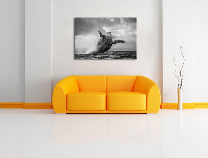 Pixxprint Buckelwale Kanada / 100x70cm Leinwandbild bespannt auf Holzrahmen/Wandbild Kunstdruck Deko